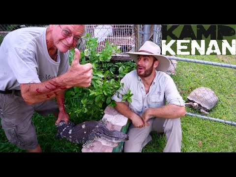 YouTube reptile video