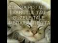 dragoste si tristete