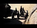 Penguins march at Boulders Beach - South Africa Penguins march at Boulders Beach - South Africa