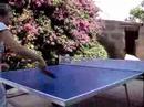Irmin learns to play table tennis