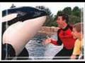 seaworld-adventure-c