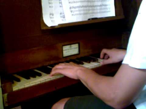 Signore delle Cime - Bepi de Marzi - Organo