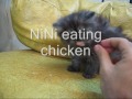 NiNi's Angles !