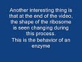 How a Ribosome Works How a Ribosome Works