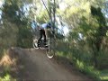 Dillz Riding BP Dillz Riding BP