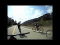 Xandie d Stuntman - Xandie Standing on his Frame