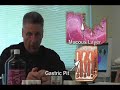 Stomach Mucous