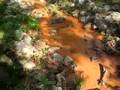 videos de 5/01/2008 Stormwater Runoff Cypress Site, Raleigh NC