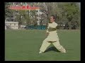 Forty-Eight Posture Chen-Style Taijiquan Forty-Eight Posture Chen-Style Taijiquan