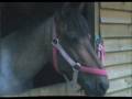 YouTube - zeb