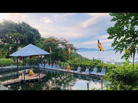 Tinh Hoa NIKAYA - Niềm Vui Thánh Thiện & Trình Pháp **