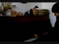 videos de Dance of the Sugarplum Fairy...
