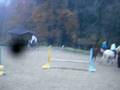 videos de sceance do'bstacle 15 novembre