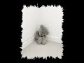 Lil Rain - Immer noch Lil Rain - Immer noch