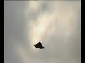 UAV en acción UAV en acción