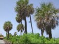Miami 1.0.2
