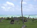 20mt Oceanfront - Owner Financing - San Jose, Rio Indio, Placer, Mahahual, Costa Maya, Mexico