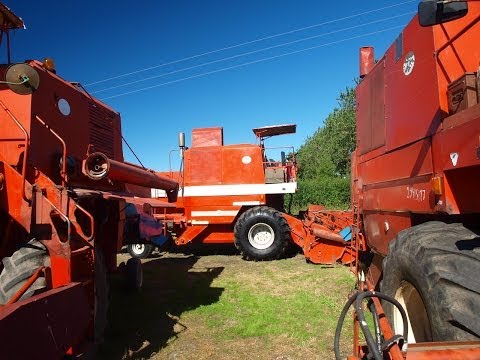 Bizon - Zjazd kombajnu Bizon Super w wersji eksportowej z roku 1992 na podwoziu rekorda. http://www.farmphoto.com/thread.aspx?mid=1107898&pgIdx=2.