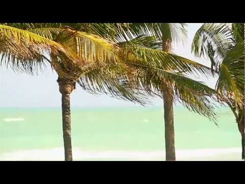 5 Minute Freshen Up Ryan Leslie 0 5 Minute Freshen Up Ryan Leslie