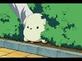 Pico!