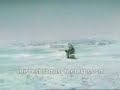 El pescador pescado
