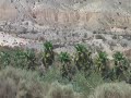 Colorado River in Laughlin, Nevada