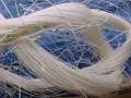 FIBRA DE PENCA DE AGAVE