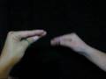 videos de WTF- What The Flock