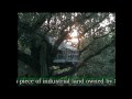 Save The Forrest.Protect Lappersfort