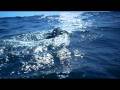 Navy SEAL Tharp Trains in Ocean