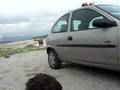 weando a las vecinas en toto