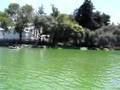 Lago en el Bosque de Chapultepec