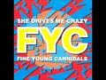 Fine Young Cannibals – She Drives Me Crazy