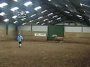 Pauke met Senda en Speedy