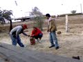 koete en agua