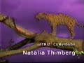 Novela - Pantanal