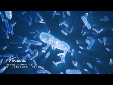 유튜브 영상 썸네일