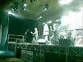 iris   arlekin 2008   bacau