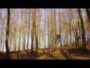 Downhill Photoshow Maximilian LW Downhill Photoshow Maximilian LW