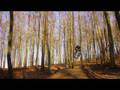 Downhill Photoshow Maximilian LW