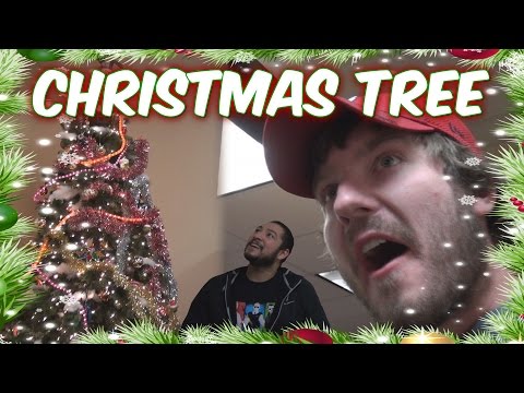 how to care christmas tree