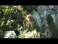 Excursion a Gibraltar