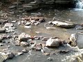 1st Video of Waterfall Glen