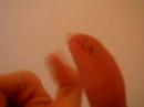 kill the thumb cyclopse jordy kill the thumb cyclopse jordy