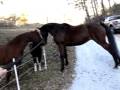 Sadie & Sawyer reunited after 2 months of separation!