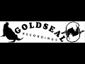 DJ Skie - New Gun (Goldseal 7) DJ Skie - New Gun (Goldseal 7)