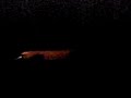180sx skids at night 180sx skids at night