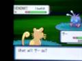 Shiny Venonat At Chain 40