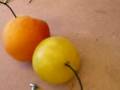 Fruits basket @ Dorkbot Paris #5
