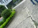 steps